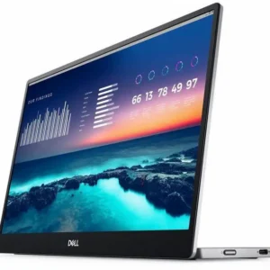 Écran portable Dell 14 P1424H