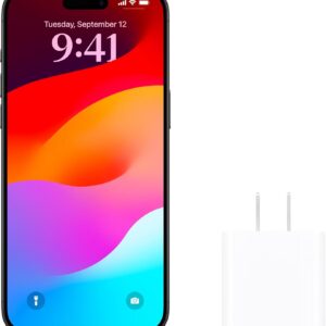 Chargeur Lightning / USB-C 20W