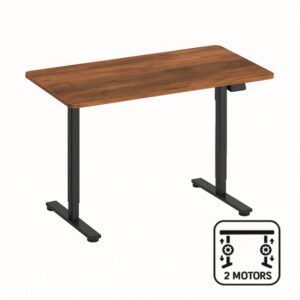 SKILLDESK Bureau Sur mesure à hauteur réglable (2 moteur)