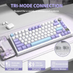ATTACK SHARK X820 Ultra Shark Switch (Lavender) – Image 4