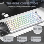 ATTACK SHARK X820 Ultra Shark Switch (White Contours) – Image 4