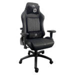 SKILLCHAIRS Raider – Image 3
