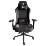 SKILLCHAIRS Paladin