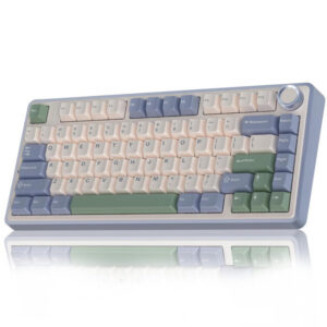 EPOMAKER x AULA F75 (CEDAR GREEN)