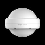 RUIJIE POINT D'ACCES EXTERIEUR AC1200 DUAL BAND RG-EAP602