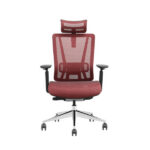 SKILLCHAIRS T1-BH-01