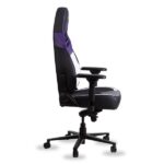 SKILLCHAIRS SCV1 STALKER – Image 4