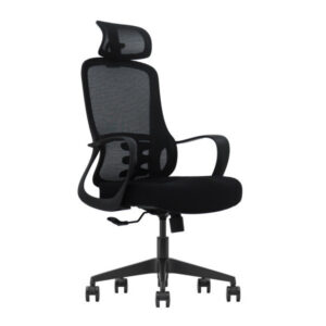 SKILLCHAIRS Ergo Roma