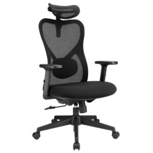 SKILLCHAIRS Ergo Alaska