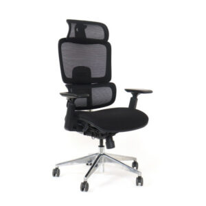 SKILLCHAIRS Ergo Perla