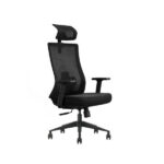 SKILLCHAIRS Ergo Aria (Black)